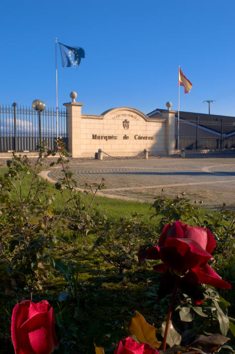 Marqués de Cáceres