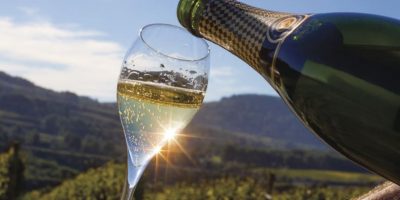 Brunch och vinprovning bland vinodlingarna i Katalonien